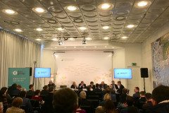 img-1540_1-1