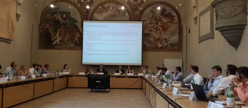 DiXi Group Took Part in the Summer School on Regulation of Energy Utilities (Video)