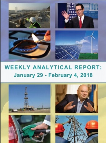 Weekly analytical report: January 29 – February 04