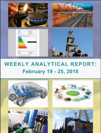 Weekly analytical report: February 19 – February 25