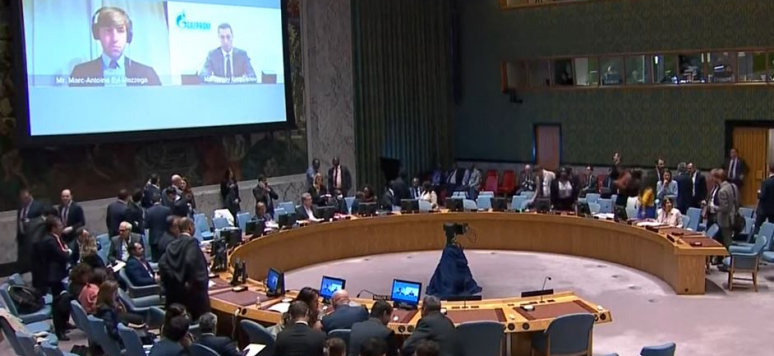 Member of DiXi Group Supervisory Board Eyl-Mazzega spoke at the UN Security Council on Nord Stream