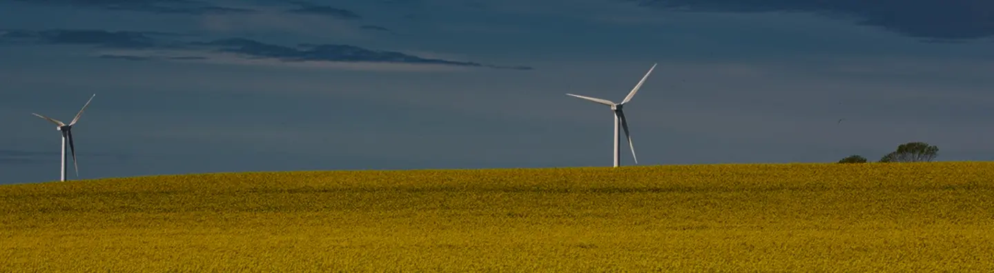 DiXi Group – Leaders of Change in Energy and Climate  