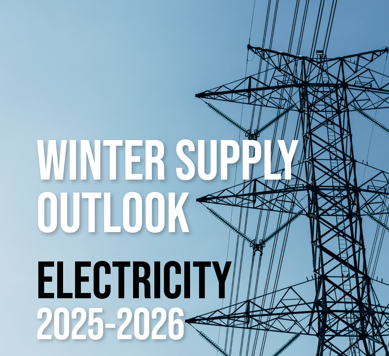 WINTER OUTLOOK 2025. Електрична енергія