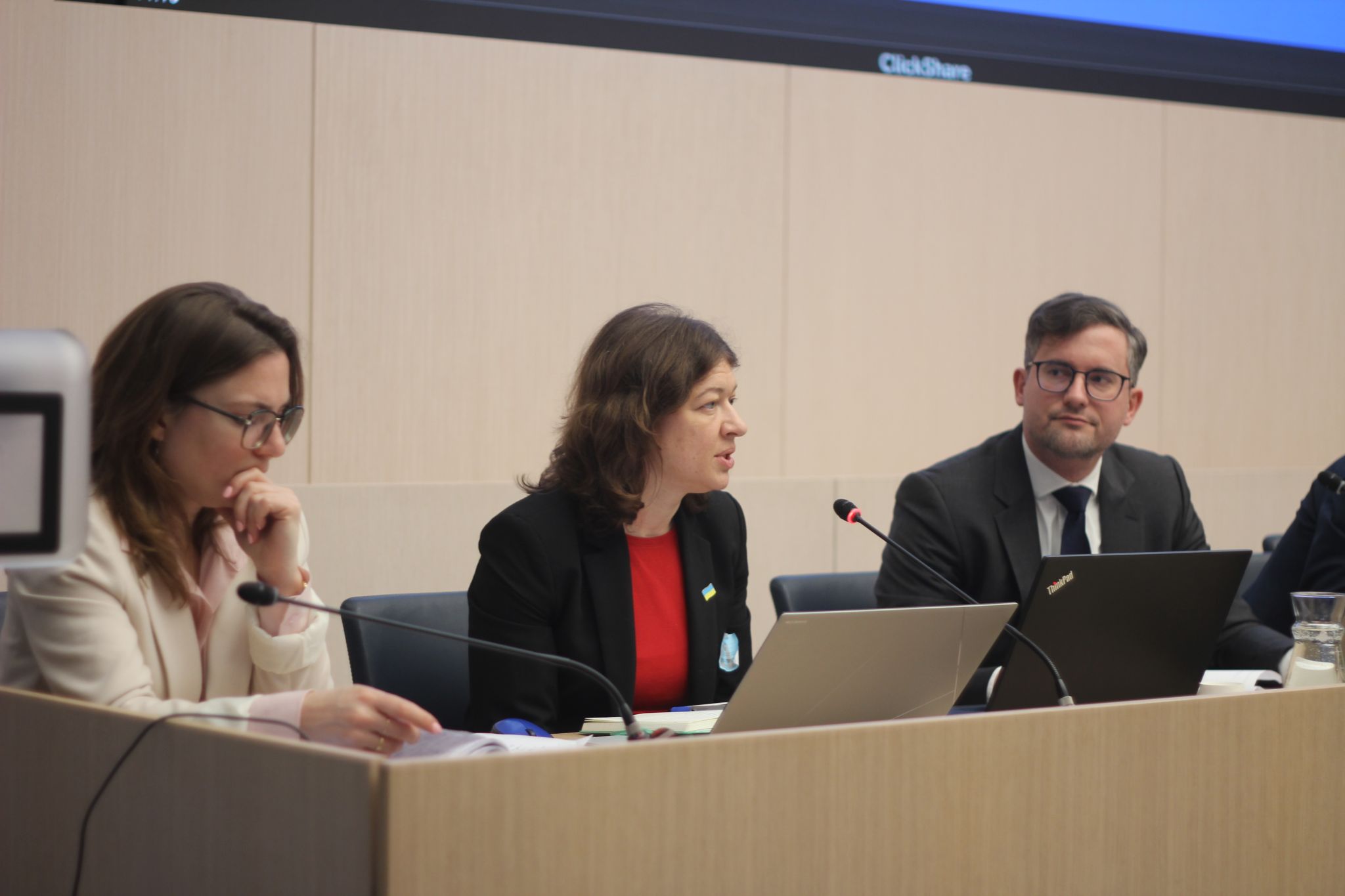 Енергетичні уроки для Європи: який український досвід варто взяти до уваги нашим партнерам